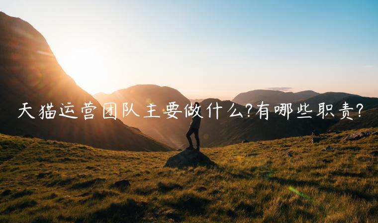 天貓運(yùn)營(yíng)團(tuán)隊(duì)主要做什么?有哪些職責(zé)?